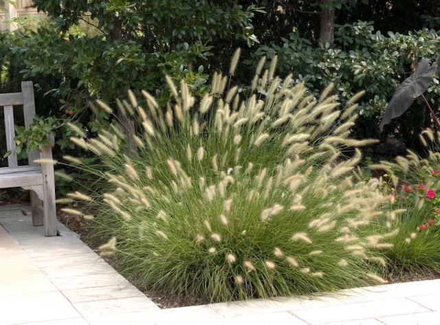 Designing Gardens for Year-Round Interest