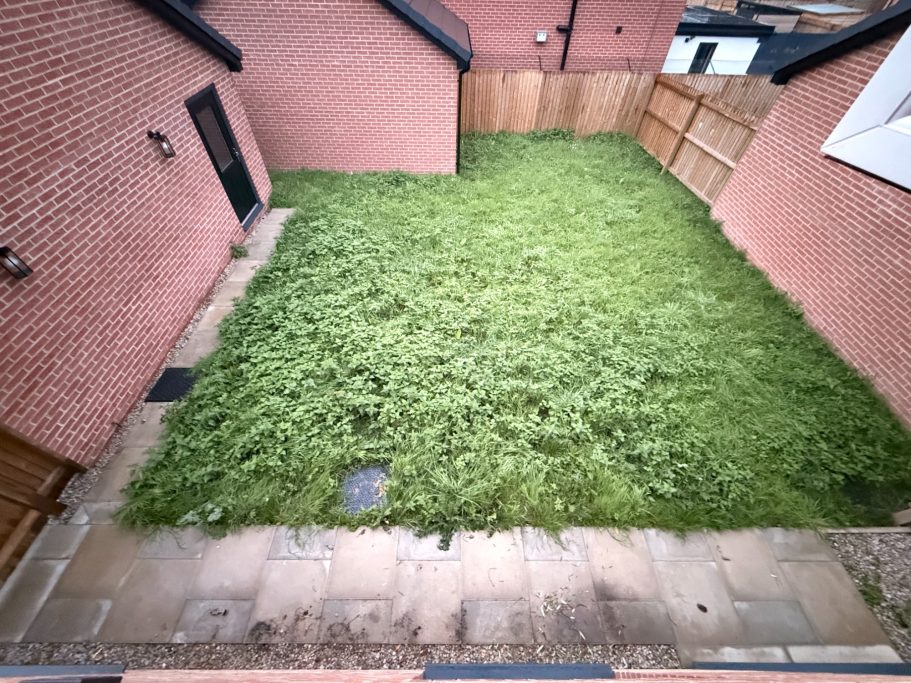 Blank canvas new build garden Blank canvas new build garden