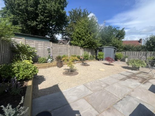 Autumn brown indian sandstone flags, circular flower beds edged with sandstone setts, planted with Japanese maple